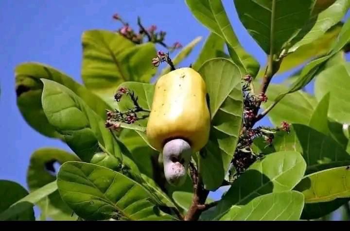 Check this one ✌️✌️✌️