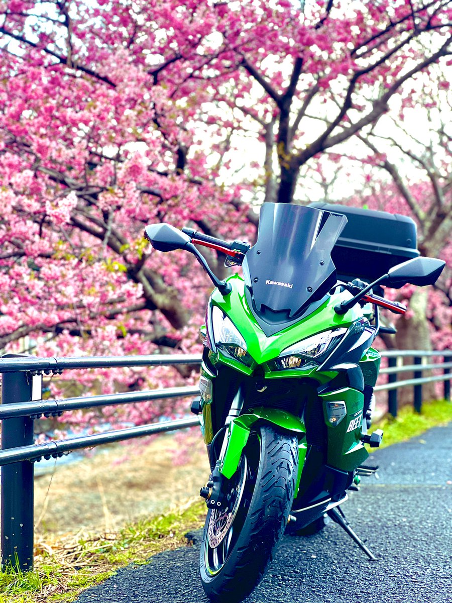 Reoby2431's tweet photo. またまた一つ歳をとりました🙌

名前：レオバイ
性別：🚹
年齢：23
住み：愛知
愛車：Ninja1000SX('20)
好き：スノボ・ギター、猫
一言：ツーリング一緒にいきましょ！
　　　気軽にメッセージください！

#バイク乗りとして軽く自己紹介
#バイク好きと繋がりたい https://t.co/B4xP1rsYVp