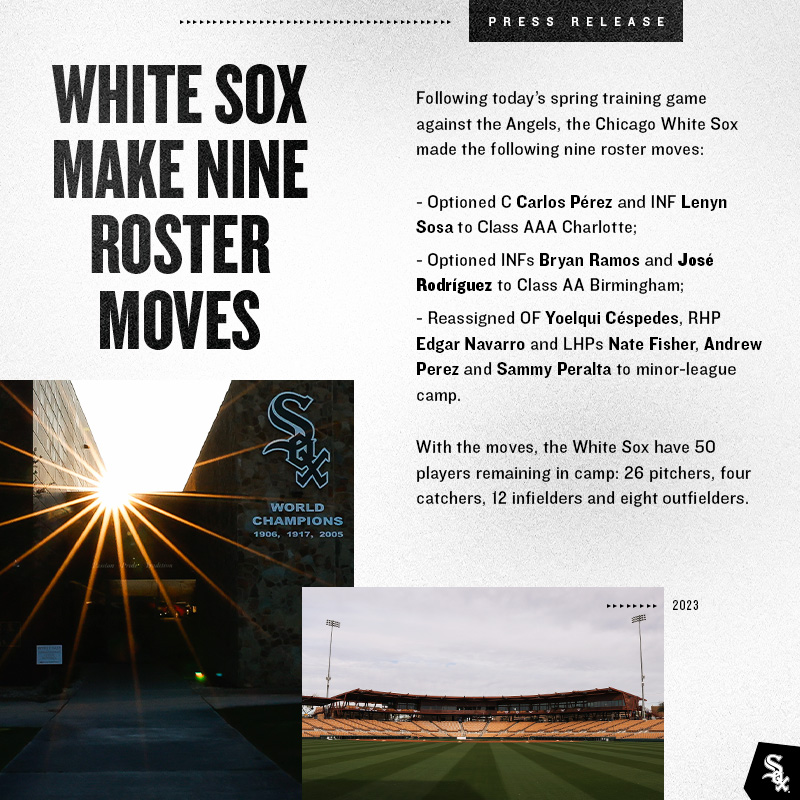 Chicago White Sox on X: #WhiteSox makes nine roster moves: https
