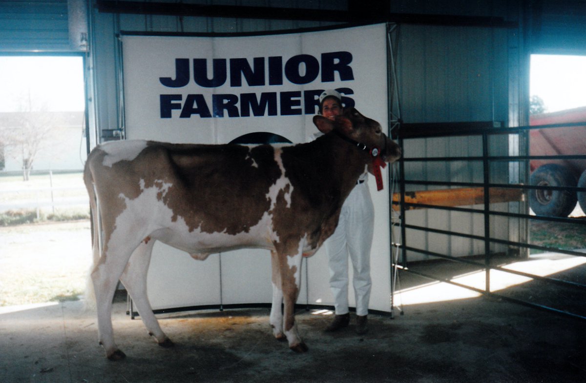 JF_Historian's tweet photo. Looking for the name of the lass showing the heifer in this photo at the 1998 Autumn Profile in Renfrew so I can write it on the back. I don't think there were too many Guernseys shown, so I hope it stood out. #solvingmysteryphotos #jfhistory https://t.co/LBUkzVaqdF