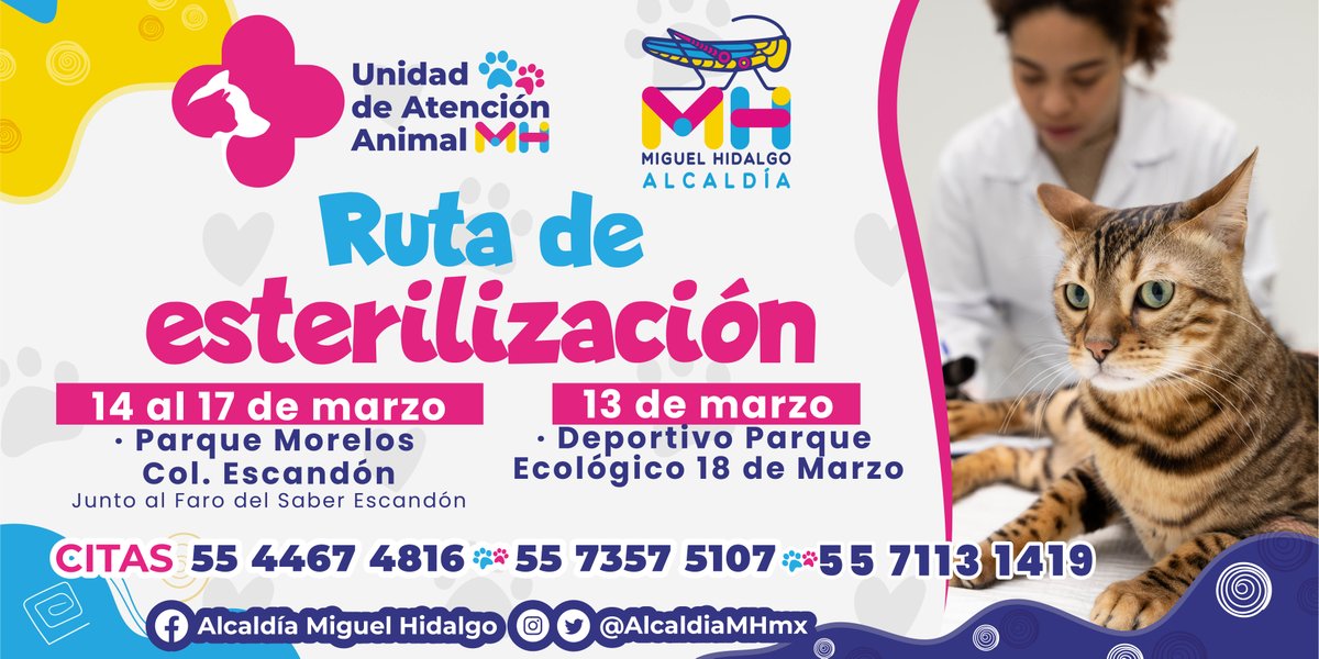 Alcaldía Miguel Hidalgo tweet media