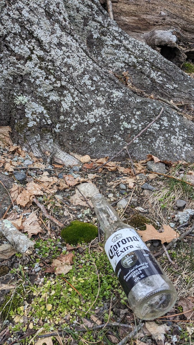 Devine009's tweet photo. Found lots of discarded bottles & cans on my walk today. Springing ahead & starting a 60- day recycling challenge leading to earth 🌎 day. It will be interesting to see how many I can pick up. Join me! #RIBottleBill #RIRecycleChallenge #Recycling #10cents https://t.co/A7LvdbLZFM