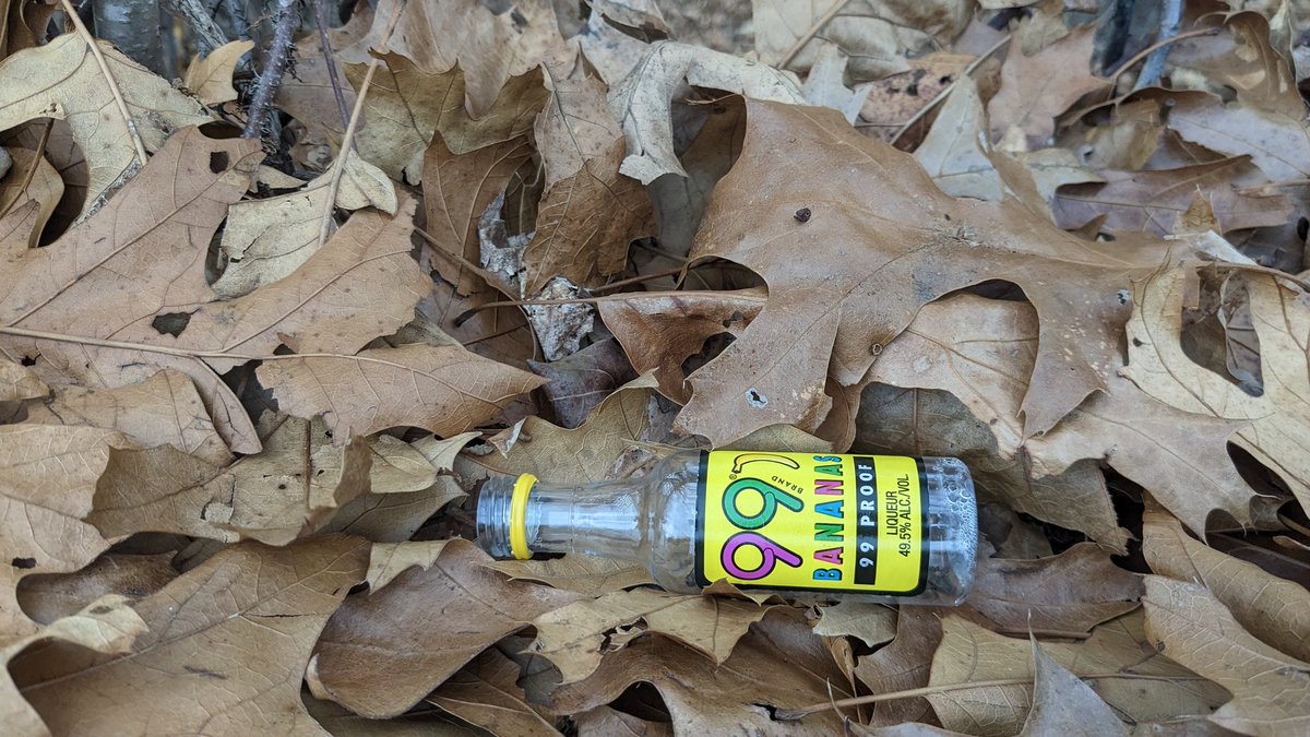 Devine009's tweet photo. Found lots of discarded bottles & cans on my walk today. Springing ahead & starting a 60- day recycling challenge leading to earth 🌎 day. It will be interesting to see how many I can pick up. Join me! #RIBottleBill #RIRecycleChallenge #Recycling #10cents https://t.co/A7LvdbLZFM