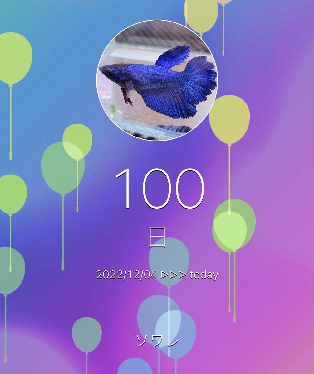 mao_dew's tweet photo. ソワレ100日記念😊✨ https://t.co/zdDtAERGjD