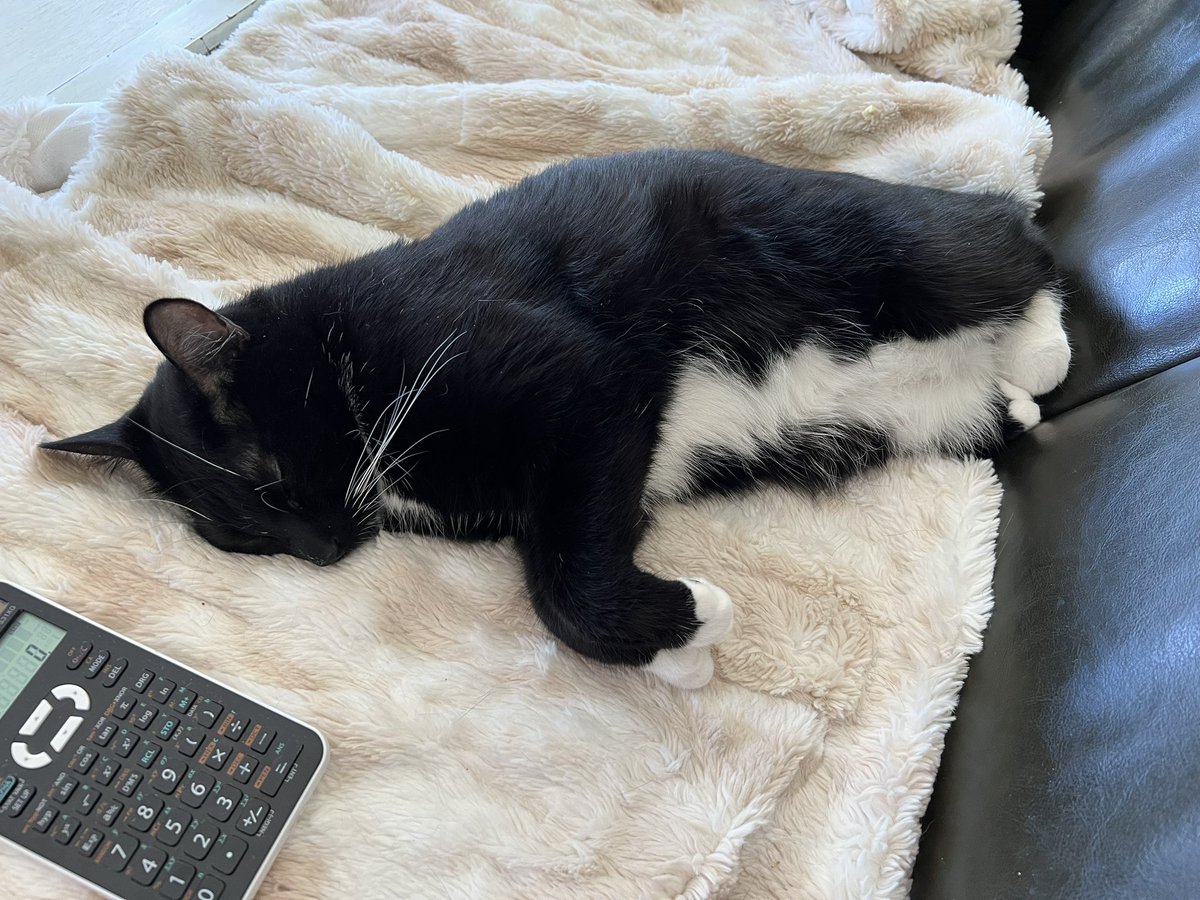 Sunday Mood. #tuxedocat