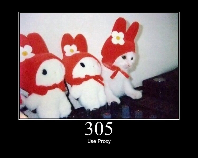 Luisa_Donato's tweet image. Love this 😹

#httpstatuscode #useproxy