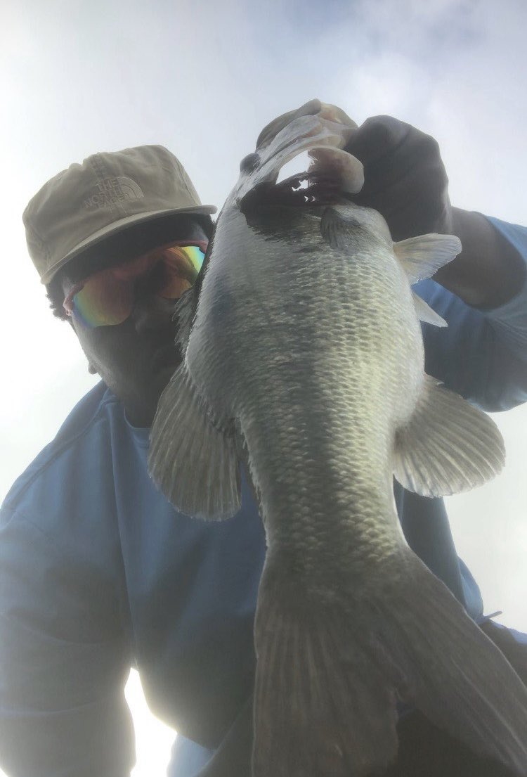 _ESPND's tweet photo. #texasbassfishing πΈ https://t.co/3XCxyUulKG
