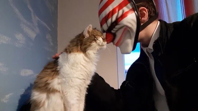 PAYDAYGame's tweet photo. The cat loves me, despite me being the face that everyone fears... https://t.co/5FCAabYiRC