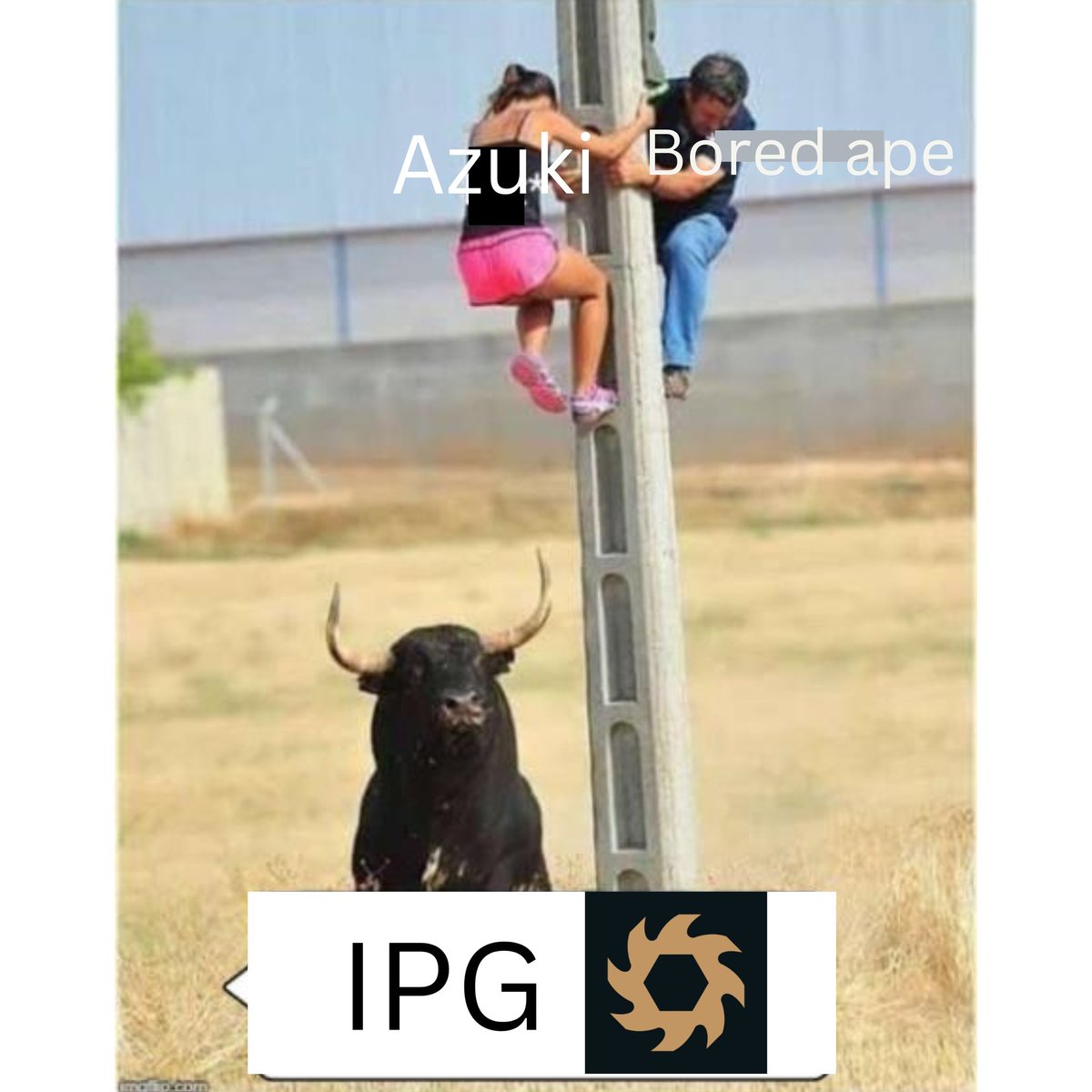 Feranmi3408's tweet photo. @IronPawGang I've been up for hours creating these memes.
I had to go to YouTube and check videos on how to create memes😅😅
I hope I'm lucky 👌 https://t.co/Xs8LiN3Zmg
