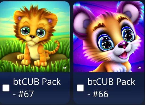 devonjames818's tweet photo. The @BitCoinCubs #NFT'S are better than I thought. Staking these cubs for  #bitcubcoin meme tokens while at the same time accumulating a fraction of #wbtc is equivalent to staking #wbtc at the same time. 🏧🫡 https://t.co/ncYjuxFoLG