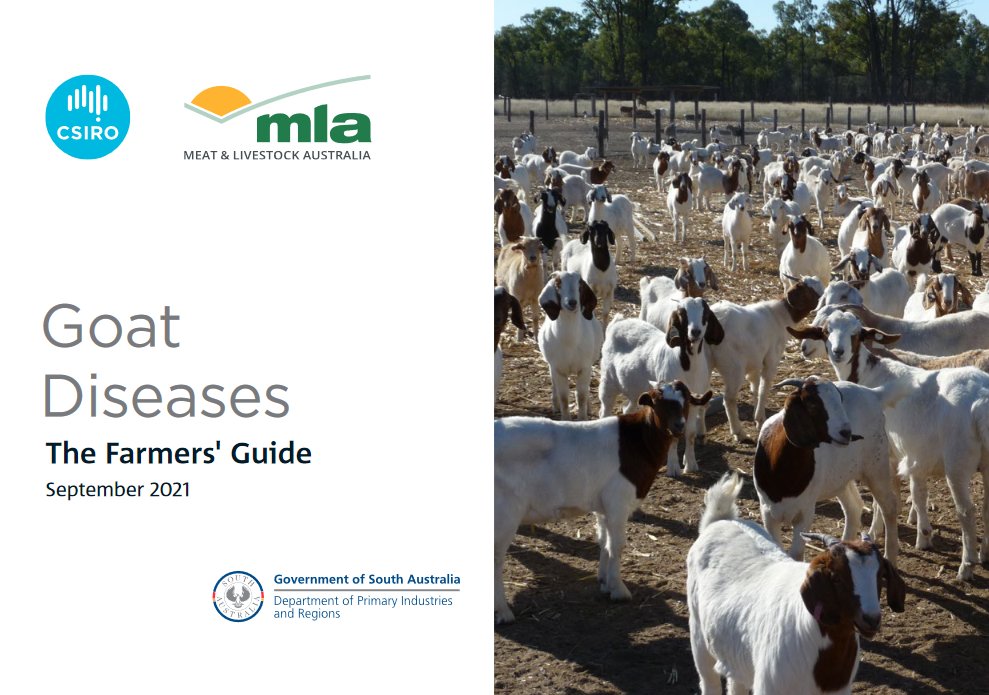 Associate members @meatlivestock & @CSIRO have collaborated on a handy farmers' guide to Goat Diseases! 🐐🦠

Read more & download 👉 bit.ly/3ZA74Wx
 
#AnimalHealth #Australia #Biosecurity #AnimalDiseases #Goat #Livestock #Agriculture #AusAg #AgTwitter