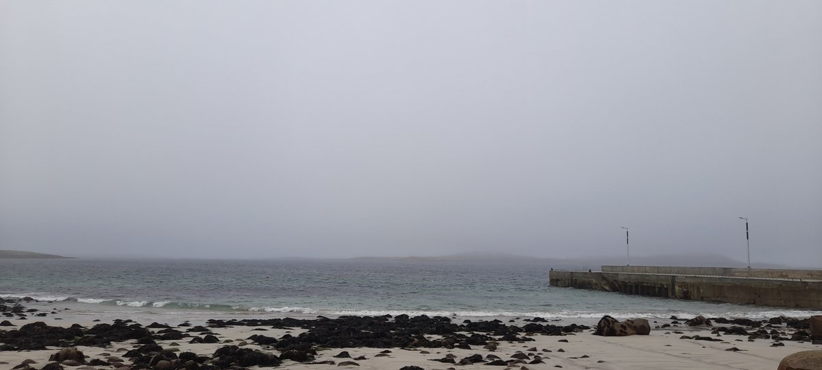 auntiemore's tweet photo. #100daysofwalking #round3crew
Lá #71
Bíonn Machaire Gathlán galánta in achan cinéal aimsire..#Gaoth Dobhair 💚🤍
#coinnighagsiúl #seachtainnagaeilge https://t.co/wm4oNakiy2