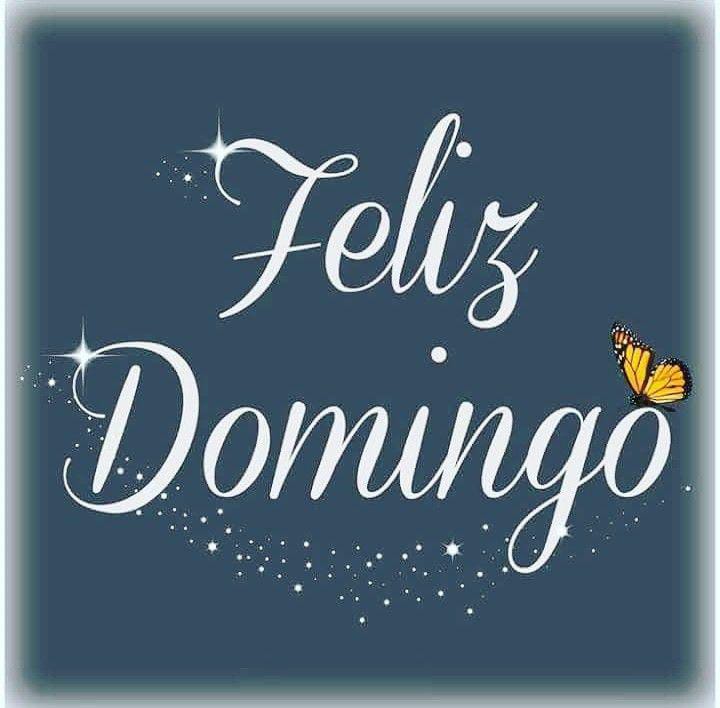 #EsquerdaSegueEsquerda 
#LulaUmBrasilParaTodos 
<a href="/LulaOficial/">Lula</a> 
@AnnaTav23 
<a href="/ari_chain/">Ari Chain</a> 
<a href="/ArmandoPrado7/">Armando Prado</a> 
<a href="/Astuto31111581/">Lúcido♌💙🌈🍀🌻🍃🛡🏹💦🌵🚩</a> 
<a href="/bispo_maximus/">Maximus13🌵🚩🚩🚩</a> 
@borgescm 
<a href="/BrunoFarina18/">Bruno Farina</a> 
<a href="/Carlos_motoboy_/">@carlos_motoboy_🇧🇷🇦🇷🇺🇸🇮🇱🇸🇻🇩🇪</a> 
<a href="/ceara59/">🚩𝕲𝖗𝖆ç𝖆 𝕸𝖔𝖗𝖊𝖎𝖗𝖆 🍀</a> 
<a href="/Claudio14200020/">Claudio🇧🇷🇧🇷🇧🇷🚩🚩🚩🏳️‍🌈🌇</a> 
<a href="/CostaJr2023/">CostaJr2026</a> 
<a href="/CSissa1/">C.A.R.I.O.C.A🇧🇷🚩🤜🤛</a> 
<a href="/DomLevi4/">Dom Levi</a> 
<a href="/EdnaAmo2023/">Edna Amorim</a> 
<a href="/EstFati/">Cristina🚩🚩🚩🚩🚩</a> 
<a href="/pinho_ray/">Ray Pinho ☻</a>