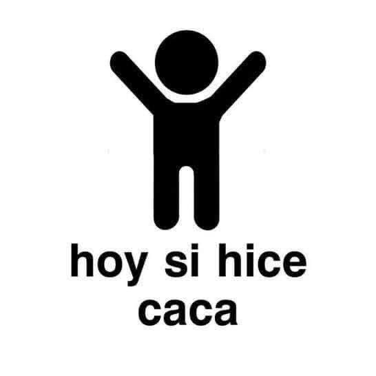 siriolynx's tweet photo. después de un día entero sin cagar https://t.co/9ipknXWMXY
