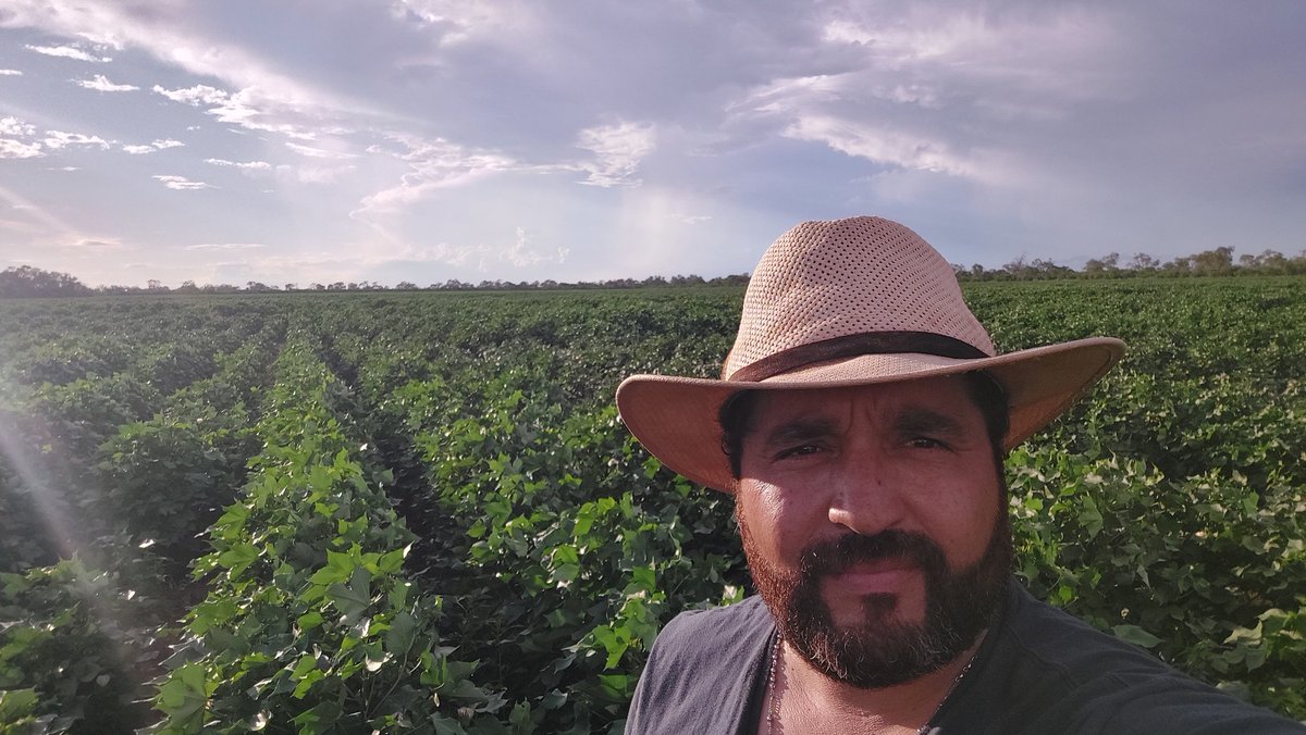 Nuopal en Chaco - Paraguayo... F.S 1/01/2023. Un poco más de lluvia y llegamos a buen puerto !!  <a href="/dgbenedettini/">Diego Benedettini 🇦🇷🇵🇾</a> <a href="/pepizarro/">Pablo Pizarro</a> <a href="/DavidGonMenc/">David Agro</a> <a href="/GensusArg/">Gensus SA</a> <a href="/paulina_lescano/">Paulina lescano</a> <a href="/jlomitas/">Juan I de Hagen</a>