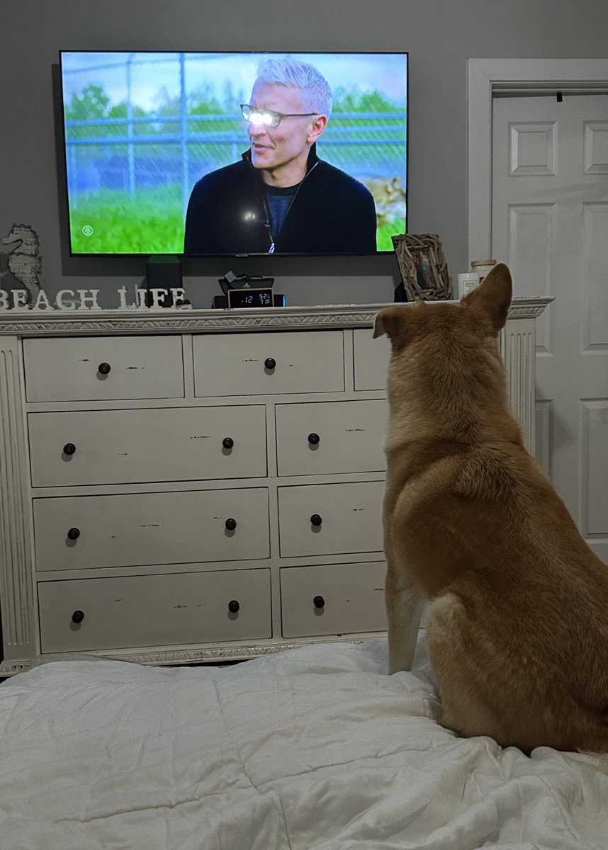 MrPrinceButt's tweet photo. When @60Minutes is about four legged friends, it draws a four legged audience. Or it could be @andersoncooper. Jury is still out! https://t.co/dpSCZI4hyz