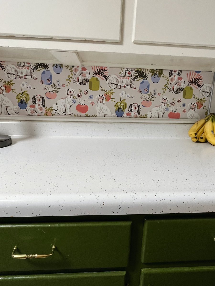 lauren☻ tweet media