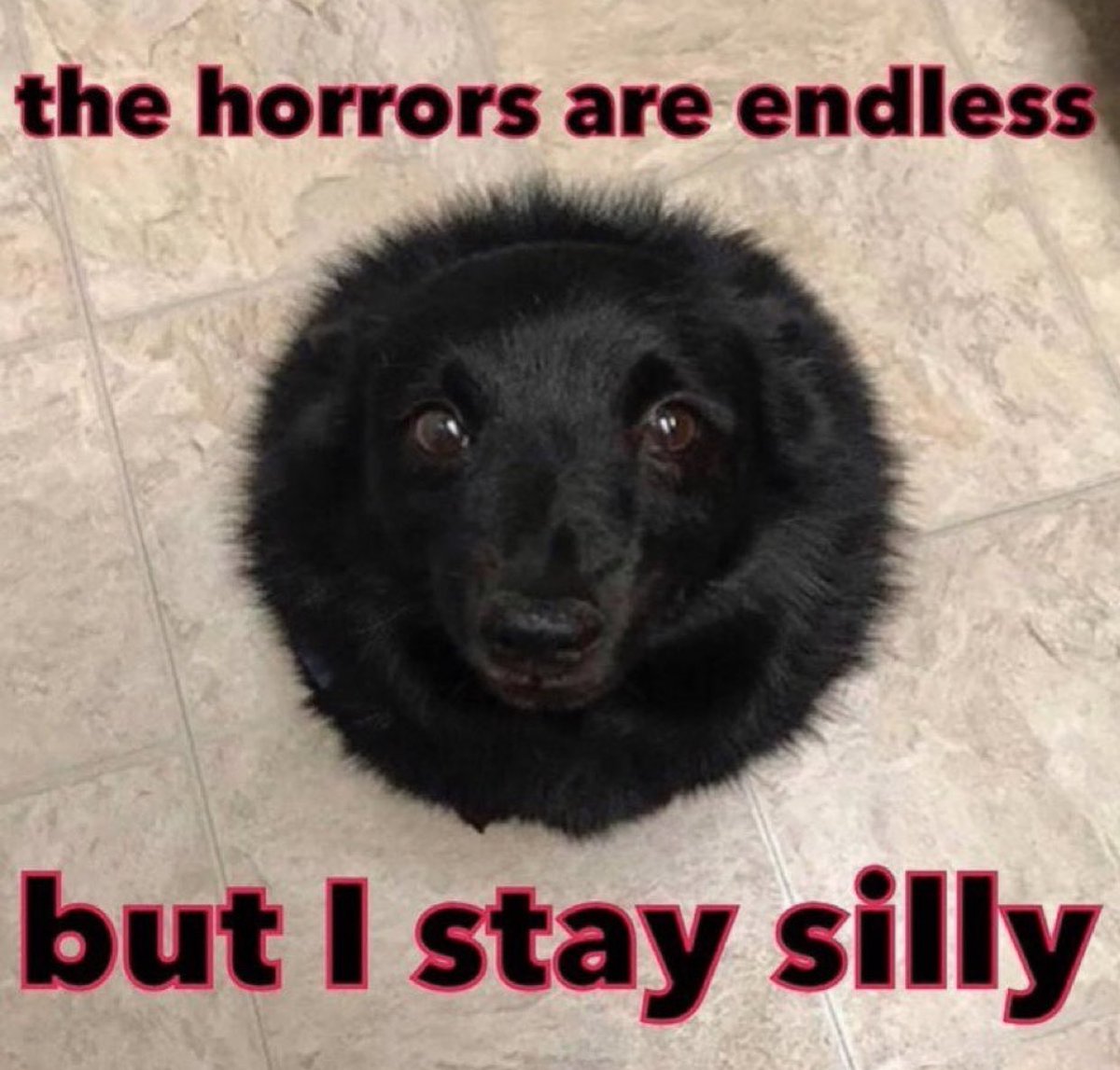 whotfisjovana's tweet image. 