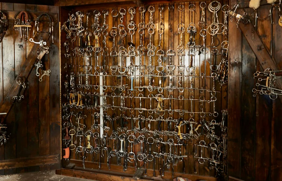 Bit collection goals 🤩
Take a tour of McLain Ward's Castle Hill Farm, the facility boasts spacious stalls, originally used to temporarily house the Ringling Brothers Circus elephants years ago! 🐴
Photo: George Kamper
buff.ly/3SYne9G