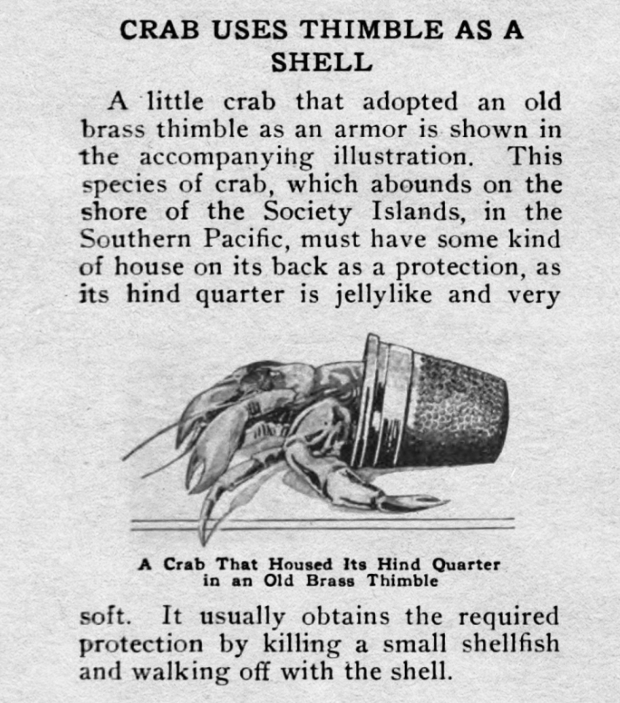 Cory Doctorow (pluralisticmamot.fr) on Twitter "Popular Mechanics