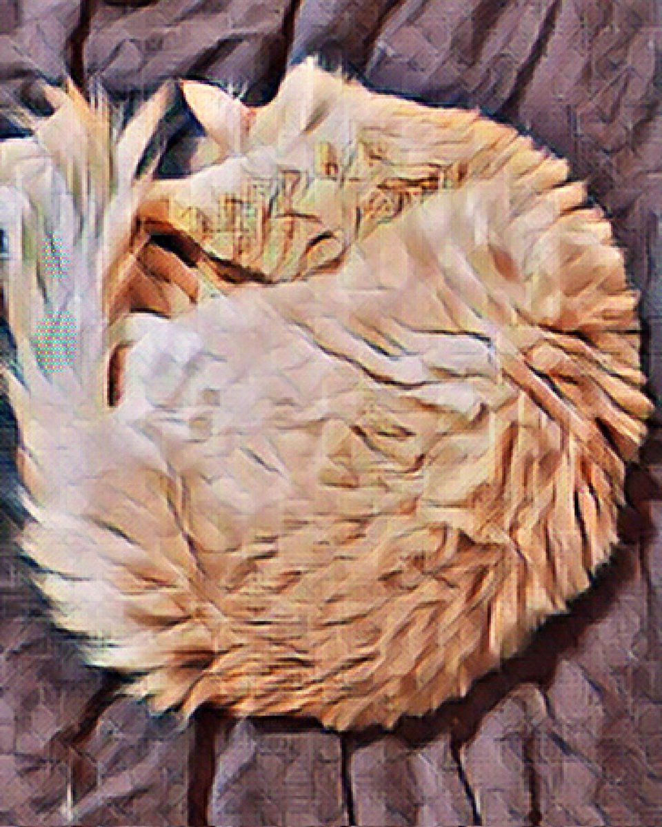 Urbanaro tweet media