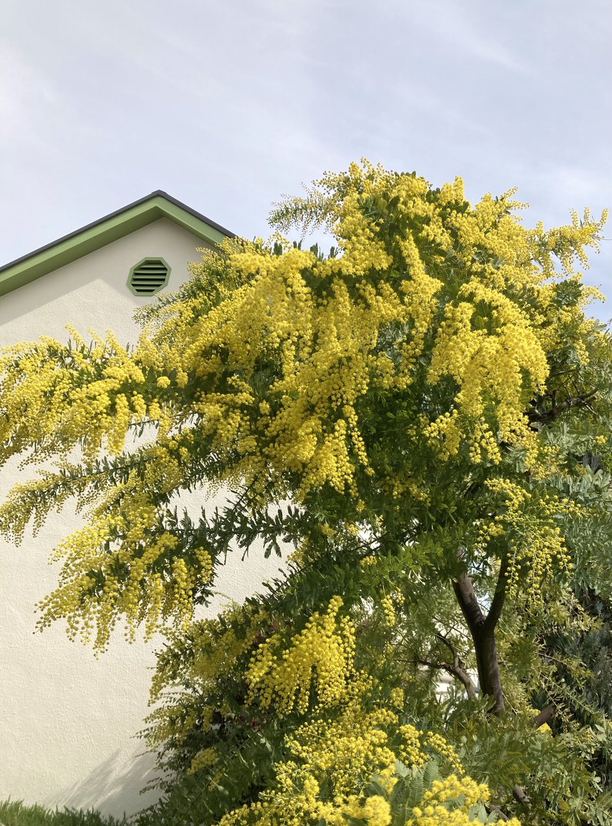 ささポチ@笹倉鉄平ちいさな絵画館(@sasa_pochi)/Page 2 - Twilog