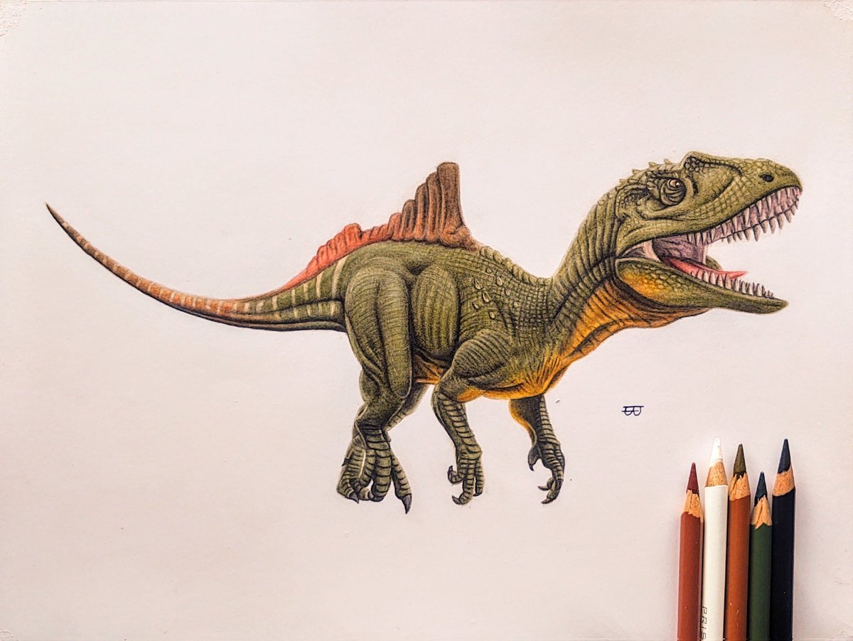 Concavenator drawing done!

Dedicated to:
<a href="/mariolanzas5/">Mario Lanzas</a> 
<a href="/FilmBayona/">JA Bayona</a>

¡Viva España! 🇪🇦