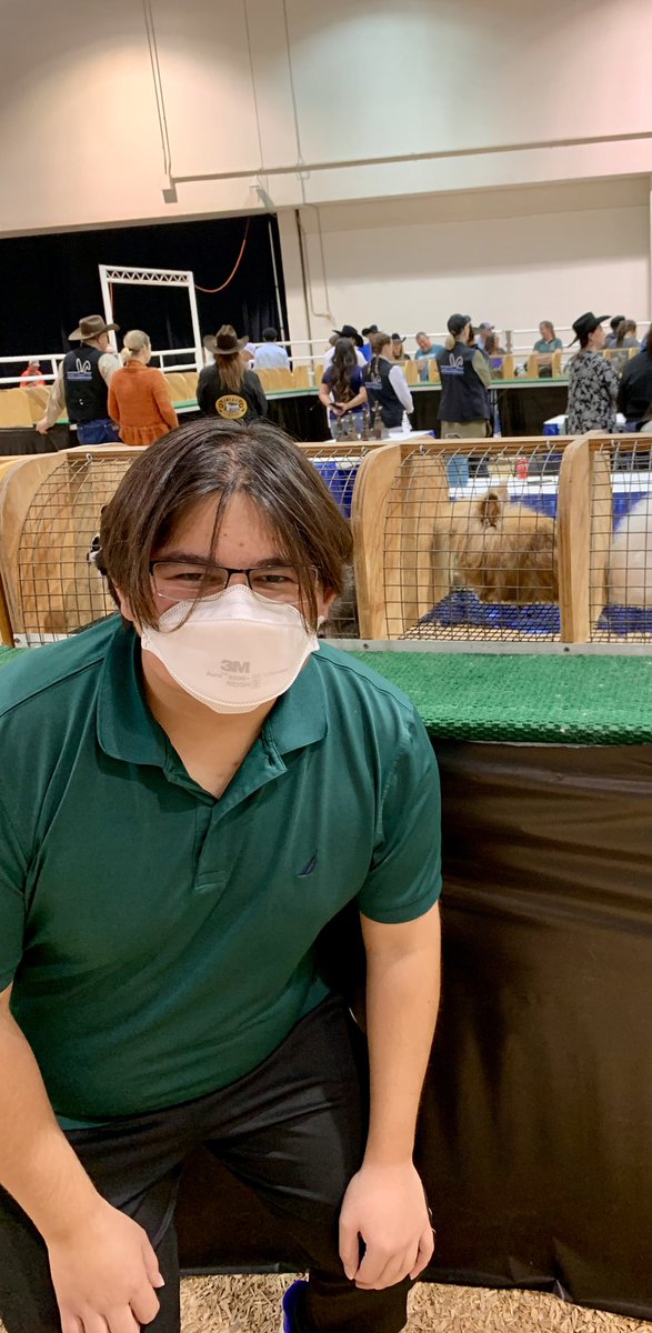 DinorahSays's tweet photo. Congratulations to Rudy Gonzalez, junior at .@AliefHastingsHS for taking both of the top prizes for the lionhead rabbit breed at the #HLSR Open Rabbit Show on Friday, 3/10!  @AliefISD #aliefproud https://t.co/pM7vBs57l2