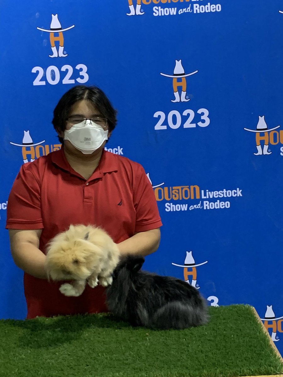 DinorahSays's tweet photo. Congratulations to Rudy Gonzalez, junior at .@AliefHastingsHS for taking both of the top prizes for the lionhead rabbit breed at the #HLSR Open Rabbit Show on Friday, 3/10!  @AliefISD #aliefproud https://t.co/pM7vBs57l2