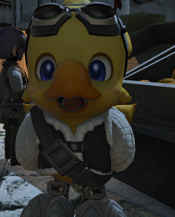 Swiss_Hope's tweet photo. I found Alpha again. I love this cutie.
#FFXIV #AlphaChocobo #FFXIVScreenshots #FFXIVAlpha https://t.co/QPRef9ciKs