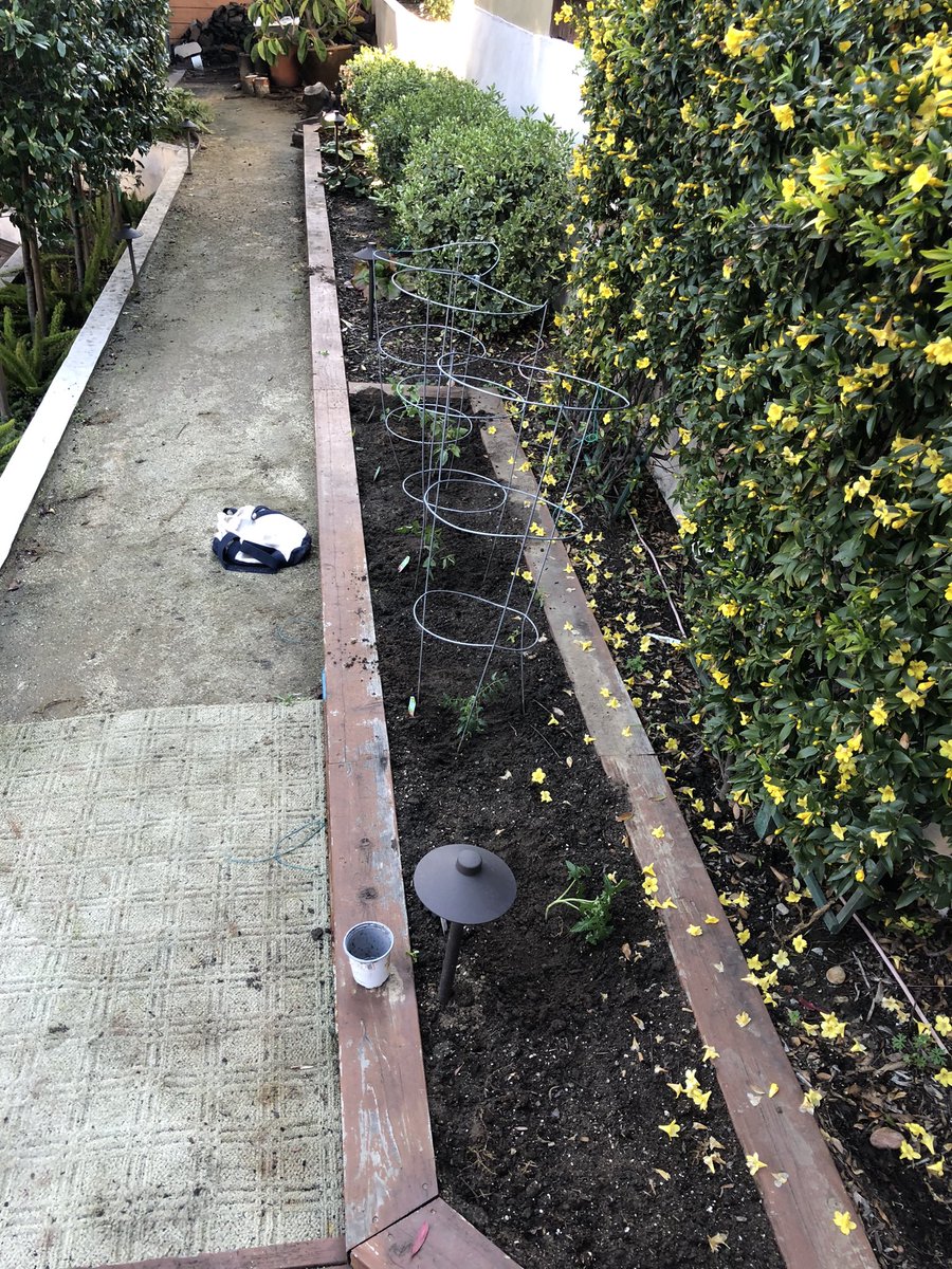 Declan Fleming tweet media