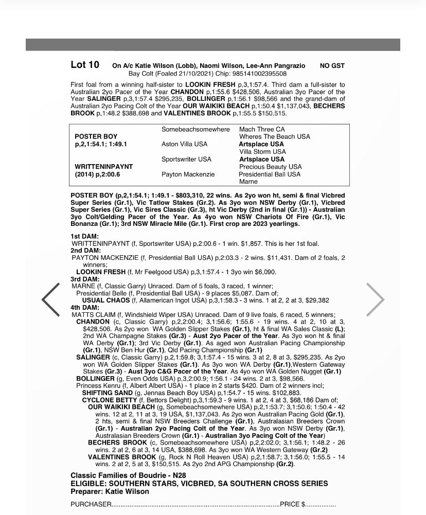 bolnora's tweet image. S.A Southern Stars Yearling Sale 26th of March Lot 10 Writteninpaynt - Poster Boy Colt