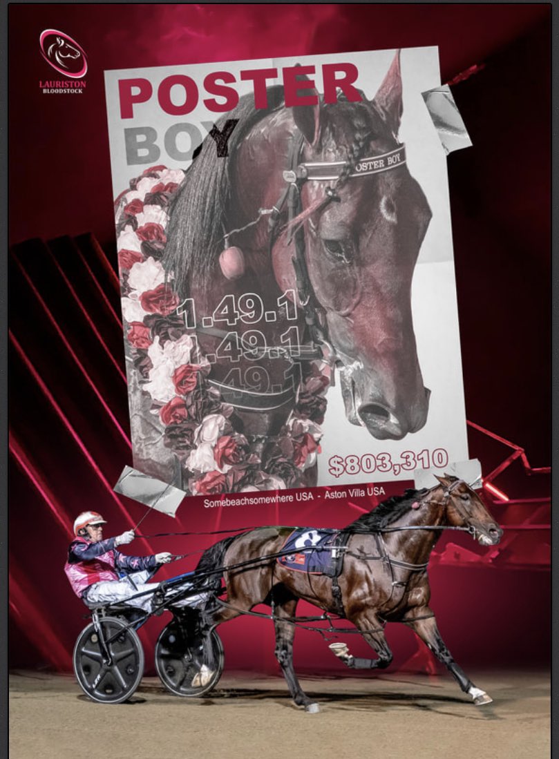 bolnora's tweet image. S.A Southern Stars Yearling Sale 26th of March Lot 10 Writteninpaynt - Poster Boy Colt