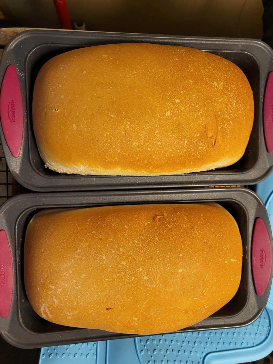 Michael Hawkes 🇺🇦 ✊ tweet media