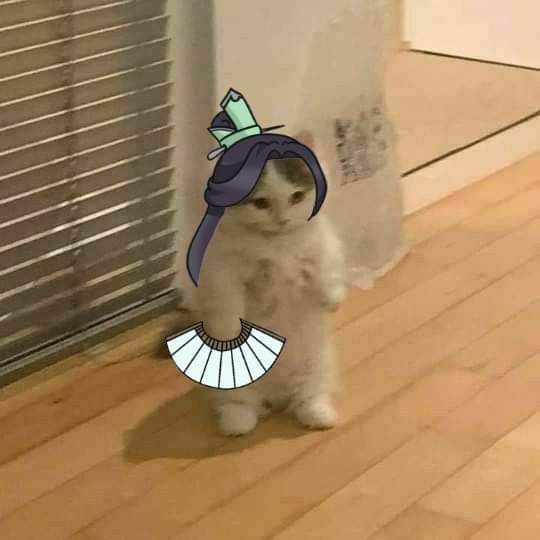 Bingqiuiu's tweet photo. https://t.co/OTemrIpK7P