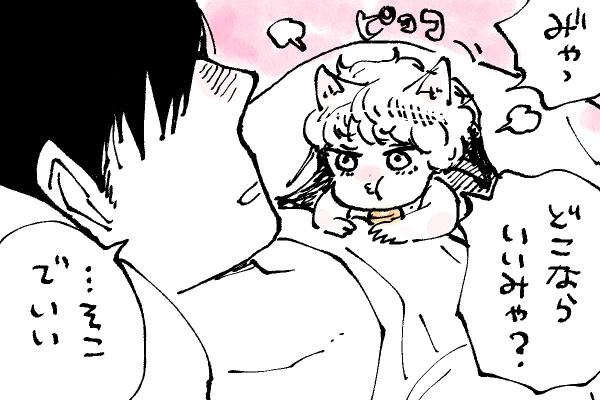 🐱キラキラにゃんこ生活
あったかみゃ〜😹 