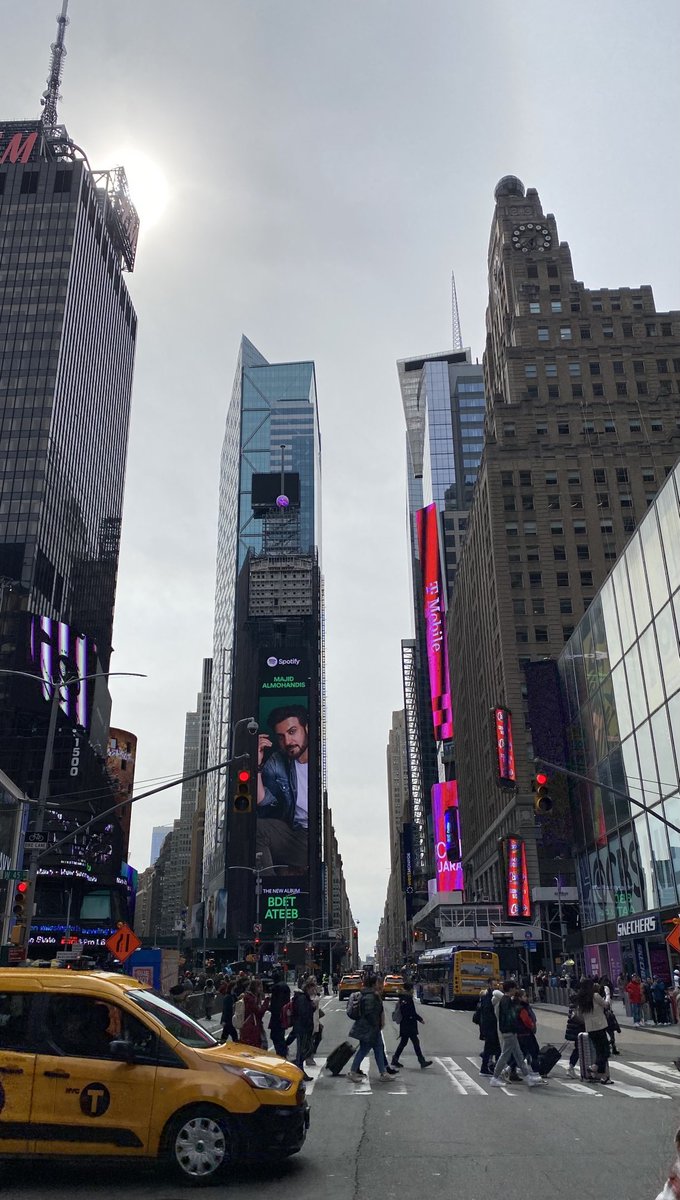 Prof Fiona Chambers tweet media