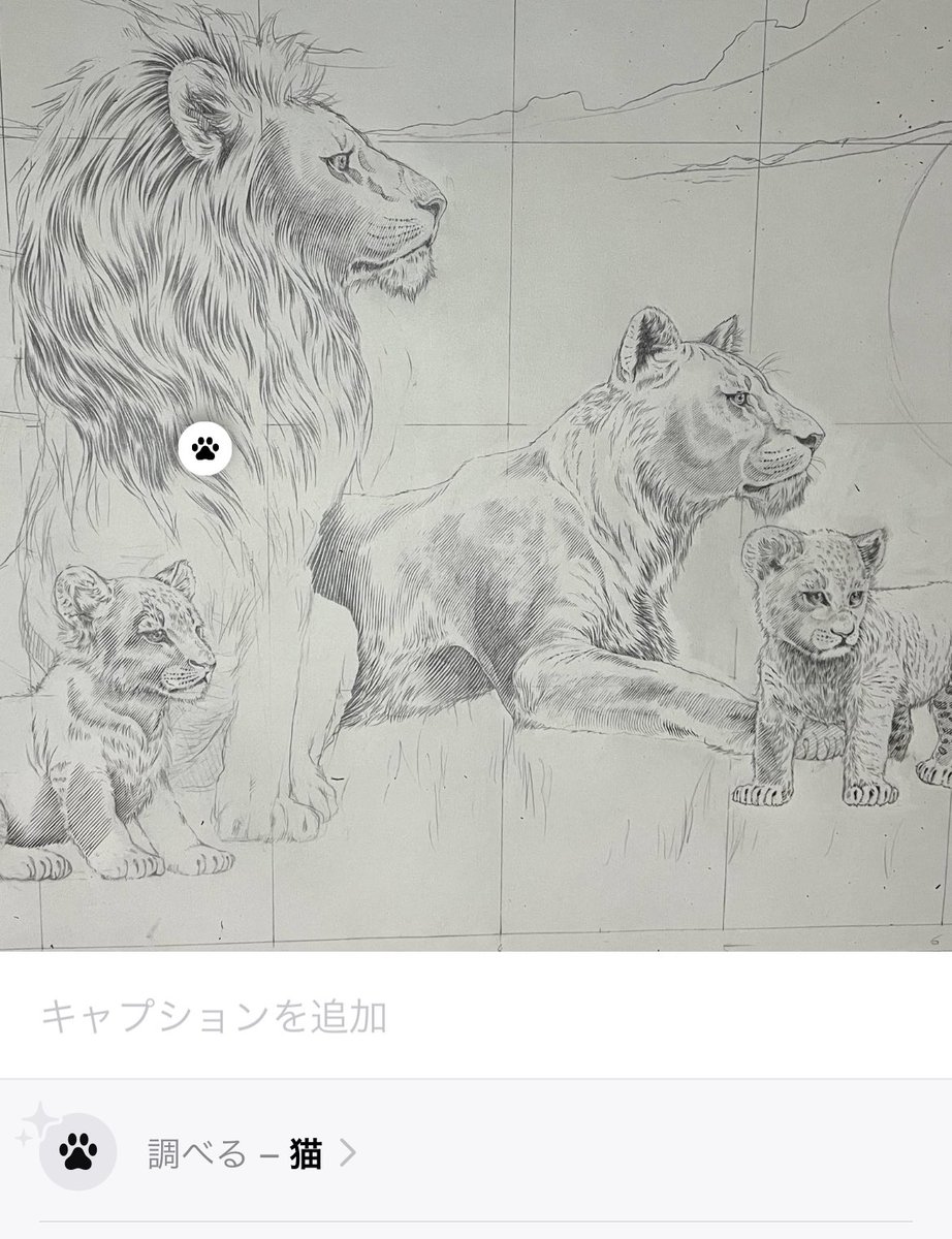iPhoneちゃん、最近写真撮ると画像に関連した物を調べてくれる機能がついたみたいなんだけど、ワタクシの描いたライオンが「調べる - 猫」と反応されてました 