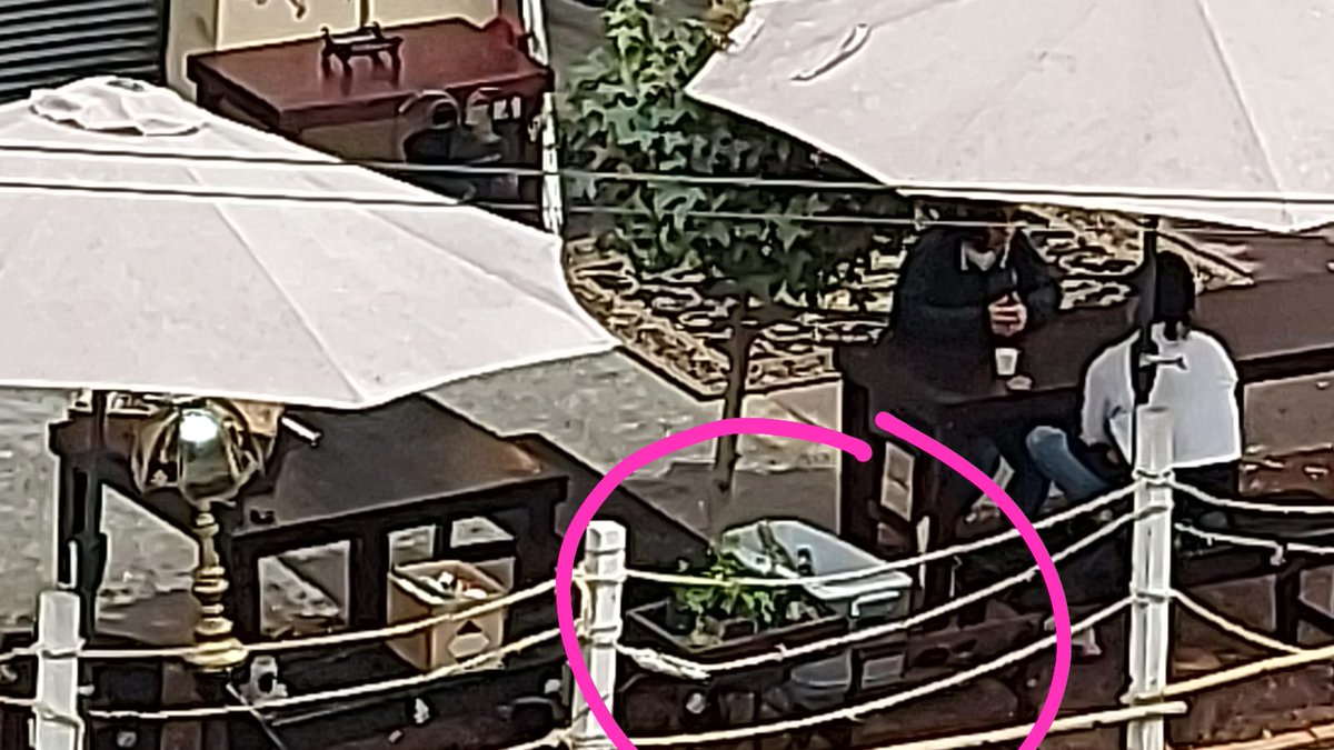 MatyCa4's tweet photo. Como si fueran naranjas bebidas alcohólicas en Tepozteco13
@STaboadaMx
@BJAlcaldia @GobCDMX @Ricardojaral @CDMX_SIBISO @covadon32368402 @PoderCiudadTV #VMENENDEZ #ANAVA @JLMatabuena @EvidenciaLa @MoviendoBJ @ParticipacionBJ @SEDEMA_CDMX adiós área verde? #arbolitosRIP https://t.co/VllXWyjgmW