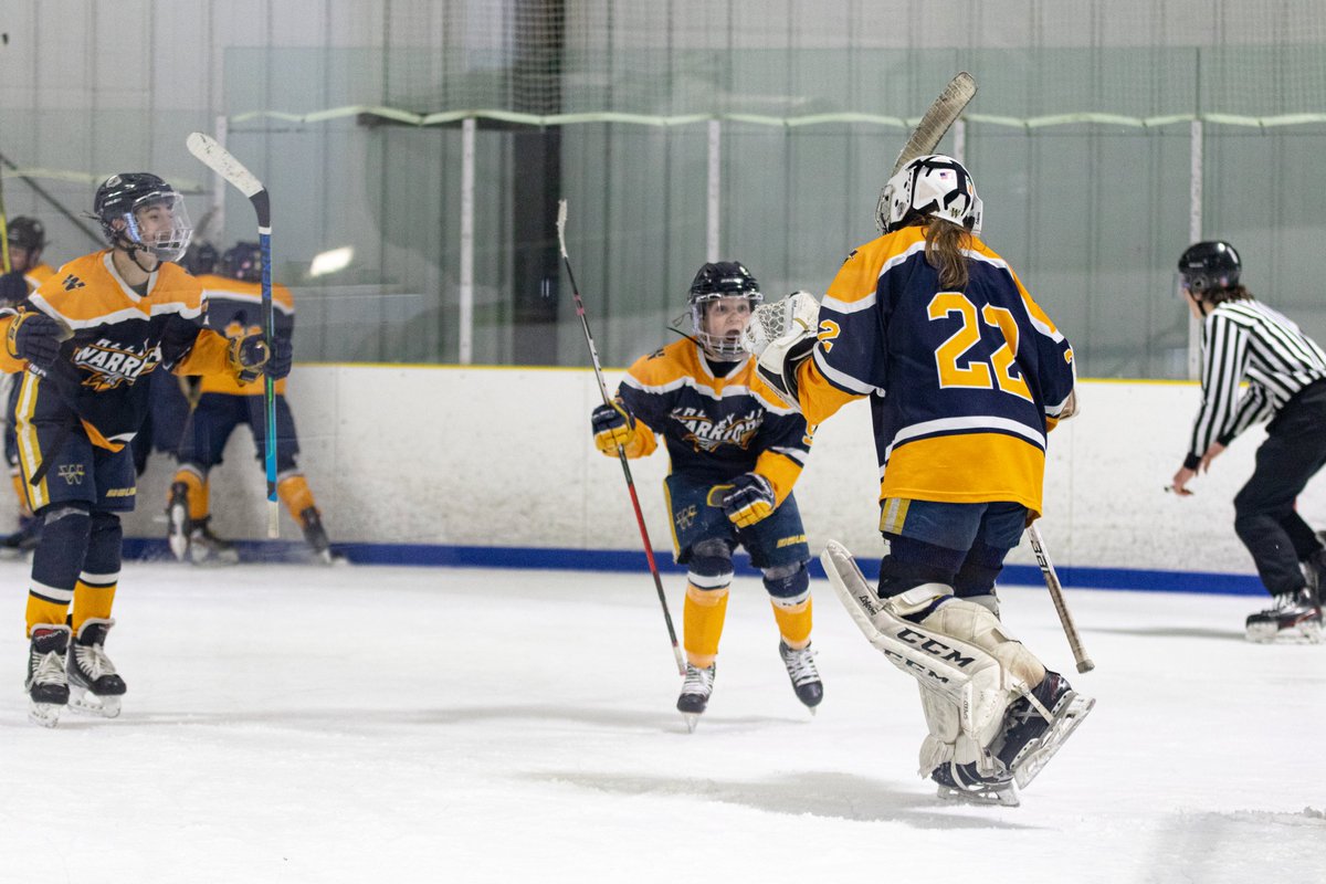vjwhockey's tweet photo. 10 Selects take care of business. Finals weekend bound! https://t.co/OV7Xry2WDi