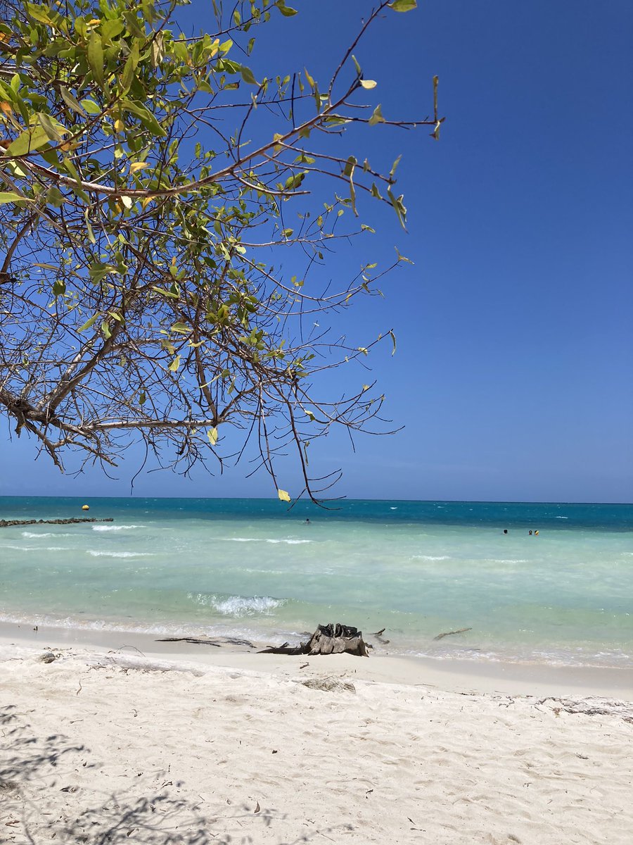 Annet de Jong tweet media