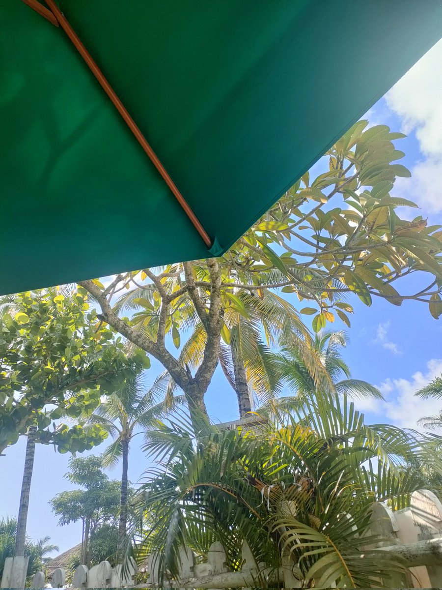 Hoteliercrypto tweet media