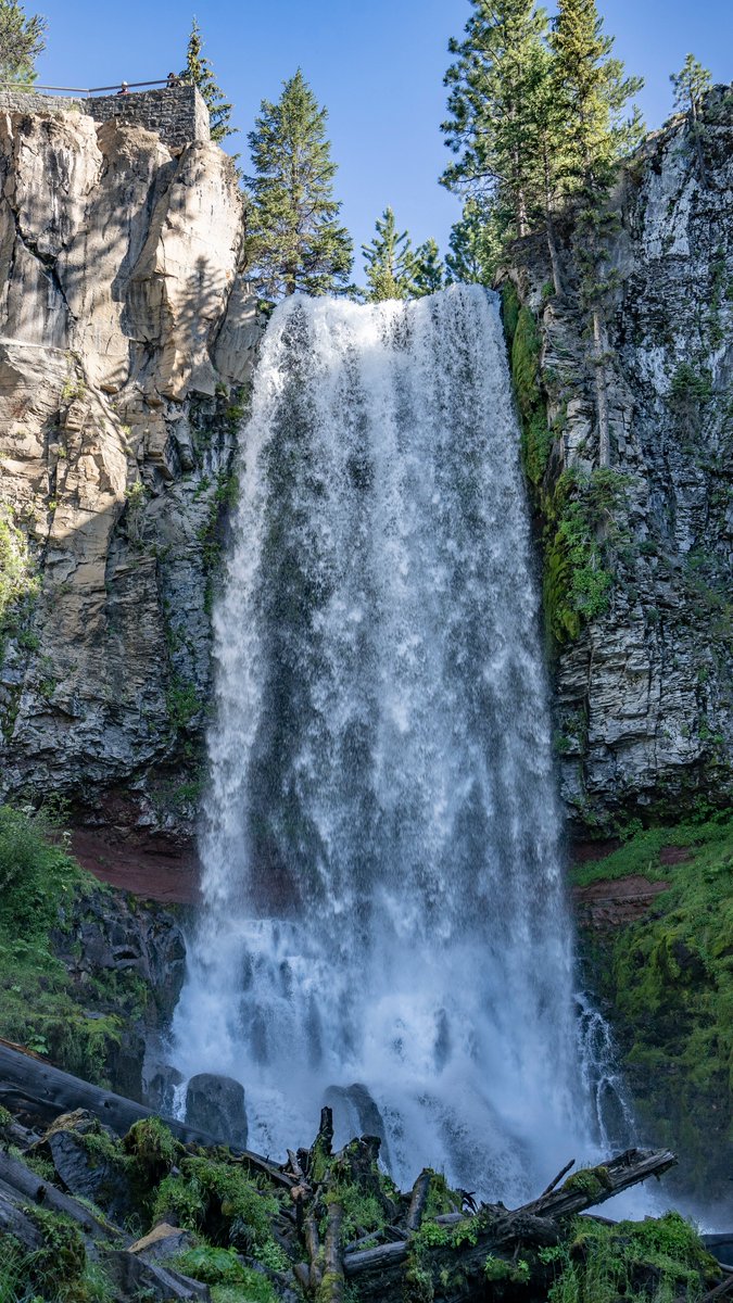 neverduskys's tweet photo. Tumalo Falls Loop
Deschutes National Forest 
Oregon https://t.co/vmPeAY5yeP