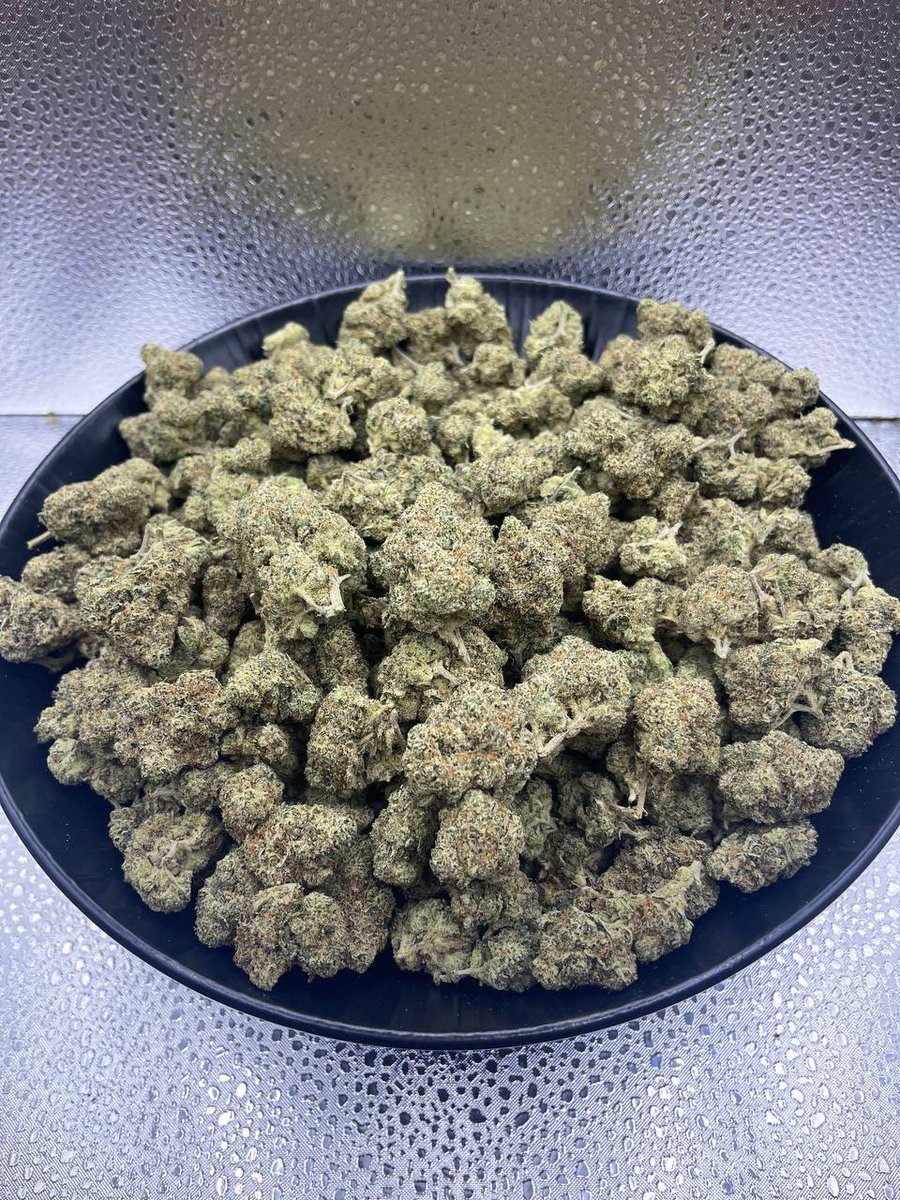 Dav_weed's tweet photo. #Texasweed #denverweed #coloradoweed  #chicagoweed #michiganwee #Dallaweed #Houstonwee #ohiowee #kensasweed #virginiaweed #Albanaweed #Newyorkweed #Floridaweed #ukweed #Houstonwee #bostonweed #lowaweed #WeedLovers https://t.co/omv4MHhOqv