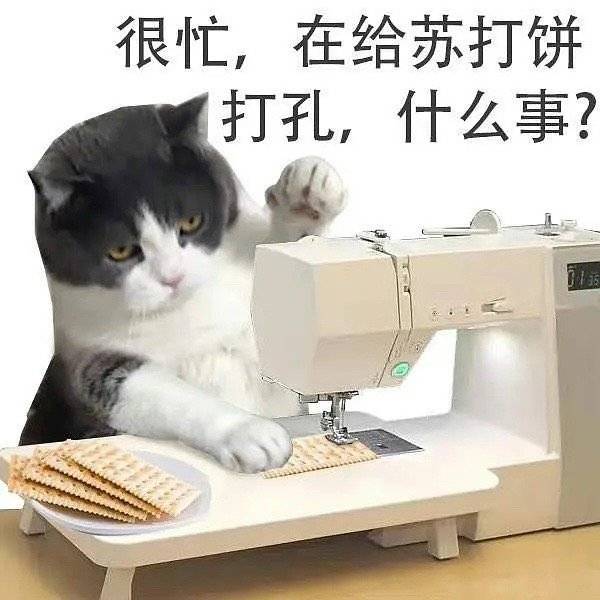 MariaHo79269151's tweet photo. 每日一问
我真的需要寄生虫的这三四十分么（是的我需要）
狗币寄生虫我恨你
学完都一周的微生物我做题还能有点印象（病毒除外）
但是你个寄生虫我三四天前学的我现在啥也不知道 
为什么 你告诉我为什么！！
算我求你了 给条活路吧 微生物扣一扣 传染病和寄生虫不给活路我这考试考个勾八阿！！ https://t.co/EkcG86QINM