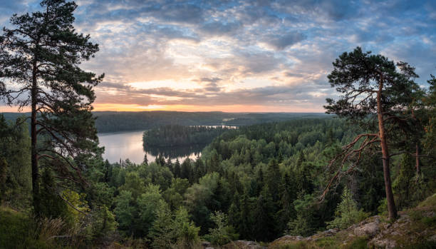 NiinaIn3D's tweet photo. In 111 days I will be back home. Albeit briefly but in my land, my home. #Finland ♥️🇫🇮♥️
#phdlife #homecoming #twohomes https://t.co/zSyaZB0agy