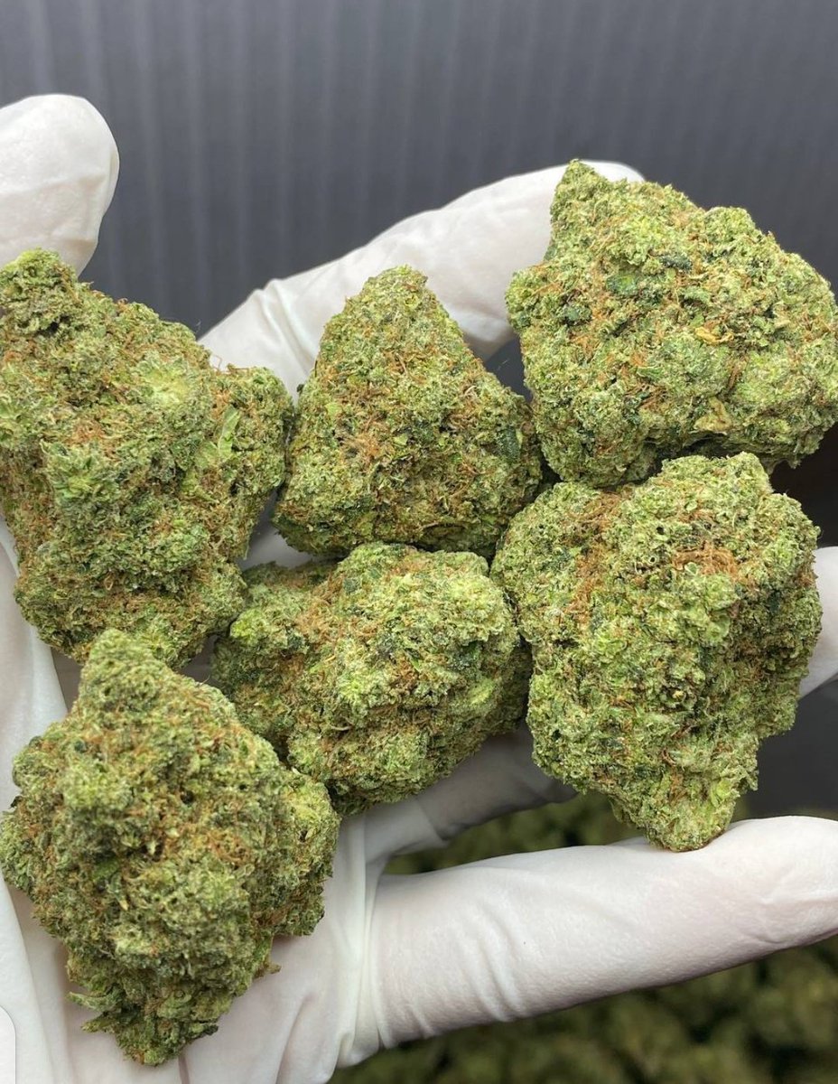 Dav_weed's tweet photo. #Texasweed #denverweed #coloradoweed  #chicagoweed #michiganwee #Dallaweed #Houstonwee #ohiowee #kensasweed #virginiaweed #Albanaweed #Newyorkweed #Floridaweed #ukweed #Houstonwee #bostonweed #lowaweed #WeedLovers https://t.co/14iEXDBDto