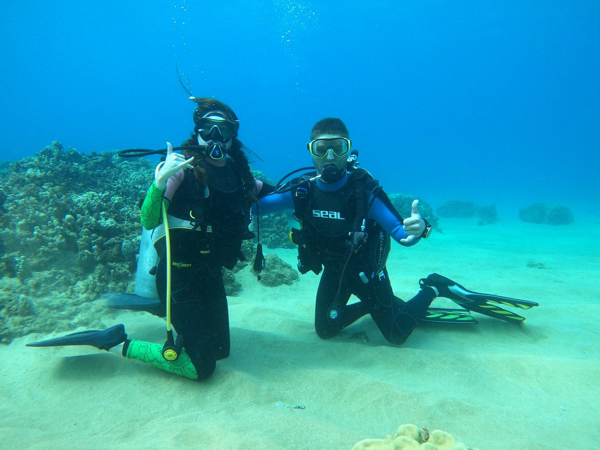 LexiLove14's tweet photo. Aren't we the cutest diving couple 🥰 https://t.co/JIWAy1Ayou