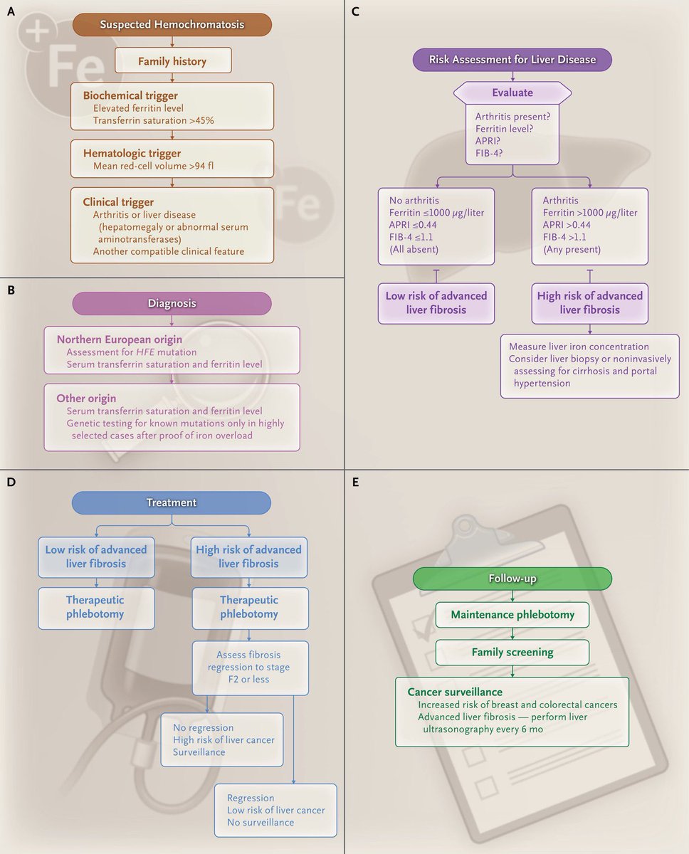 Haemochromatosis: pathophysiology and clinical approach #LiverTwitter #4KMedEd (via @NEJM)

h/t @drkeithsiau