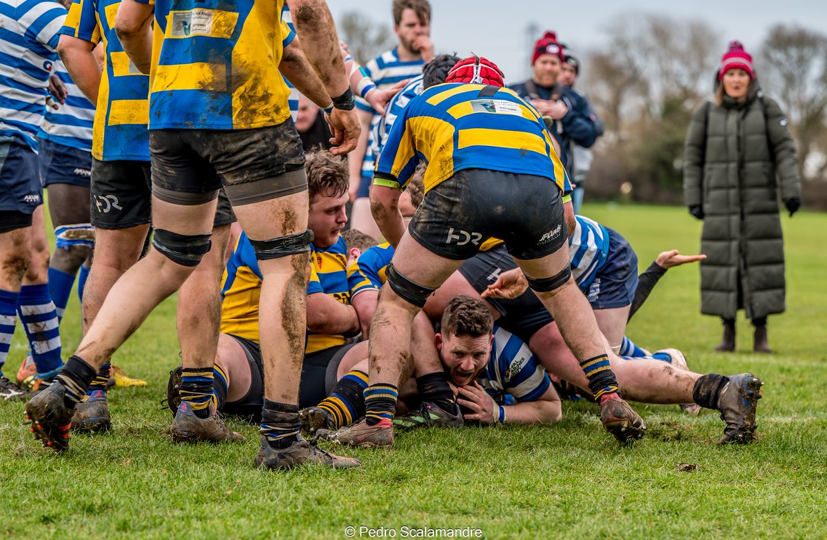 Pedro Scalamandre tweet media